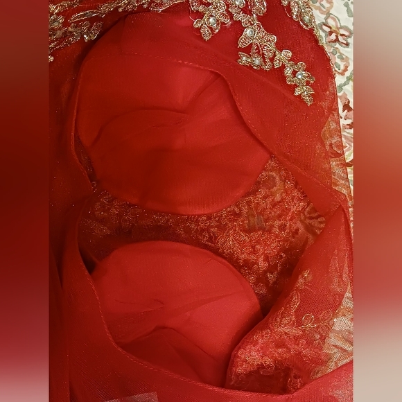 Gorgeous RED Gown with gold brocade overlaid lace  Size 10 - Picture 5 of 6